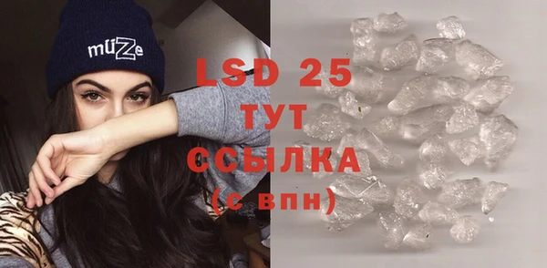 прущие грибы Белоозёрский