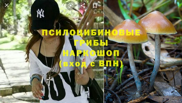 марки nbome Белокуриха