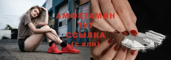 прущие грибы Богородск