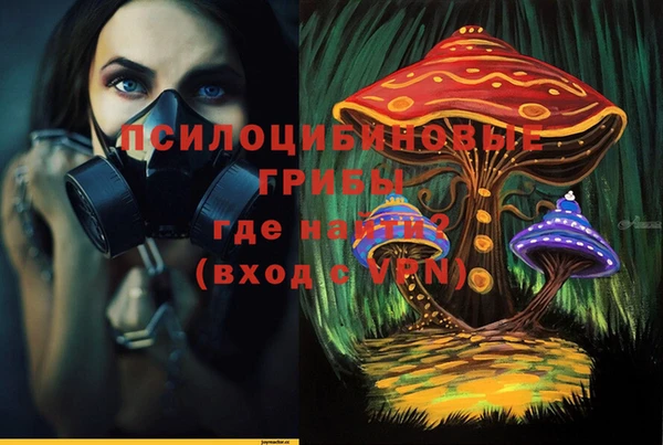 прущие грибы Белоозёрский