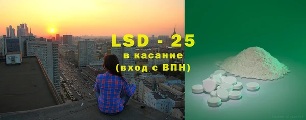 прущие грибы Белоозёрский