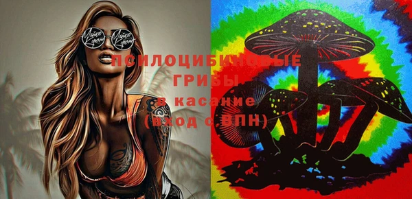 прущие грибы Белоозёрский