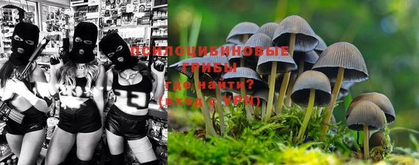ешки Осинники