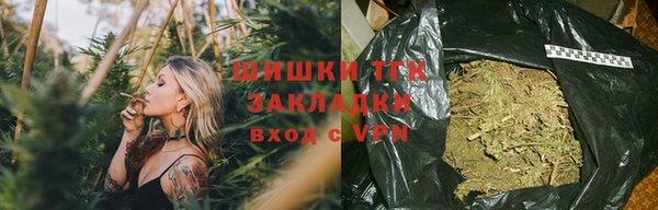 ешки Осинники