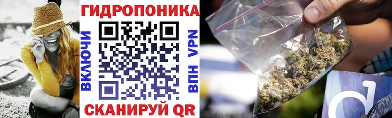 как найти   Кушва  Конопля Ganja 